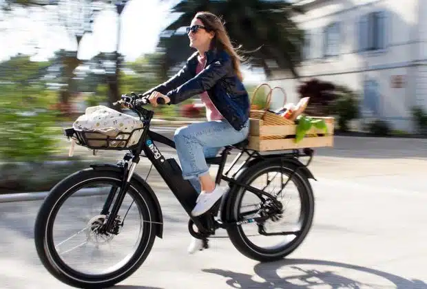 vélos électriques grande taille